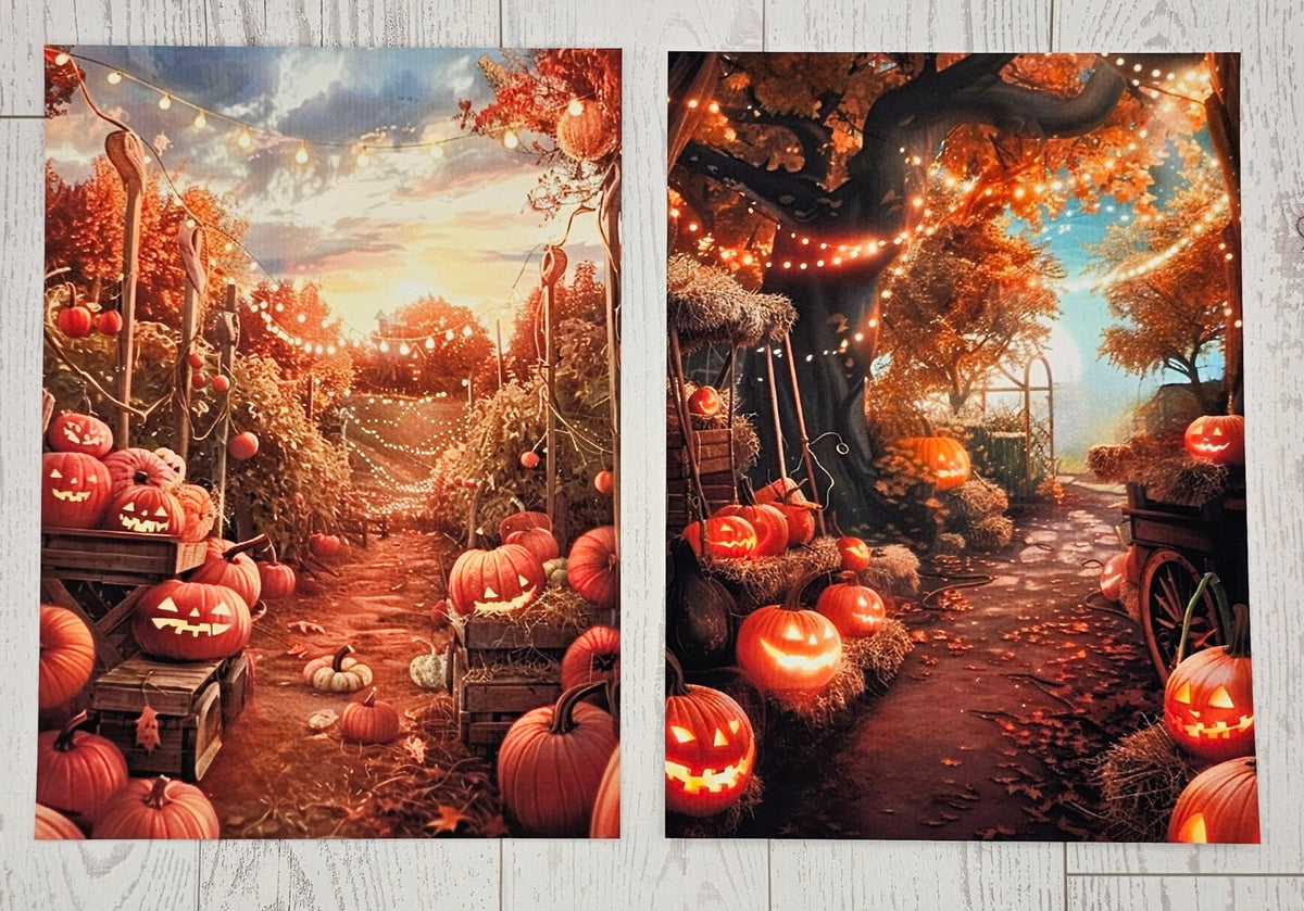 Pumpkin Patch Canvas (ATC/Spread)