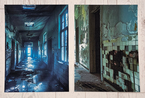 Asylum Canvas (ATC/Spread)