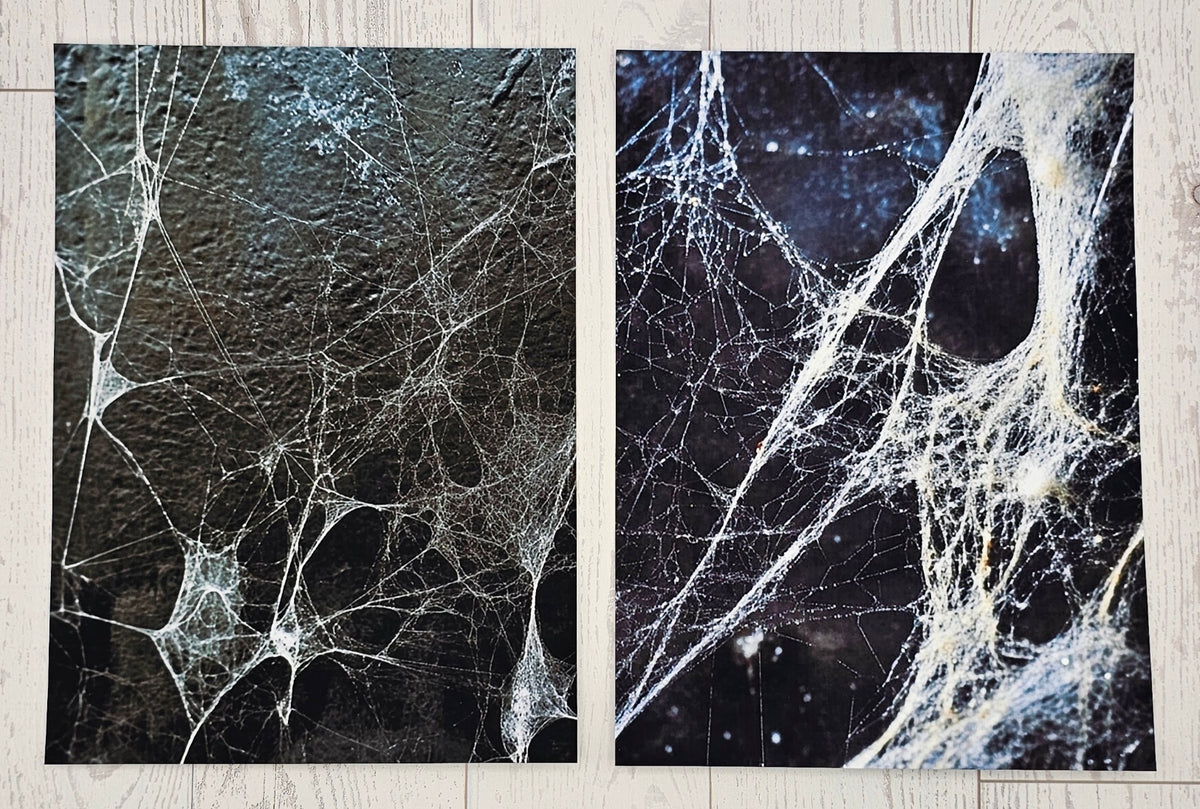 Web Canvas (ATC/Spread)