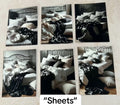 Sheets Canvas (ATC/Spread)